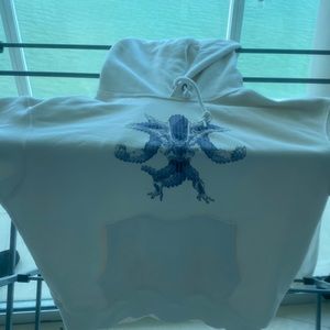 Uniqlo Dragonball Hoodie